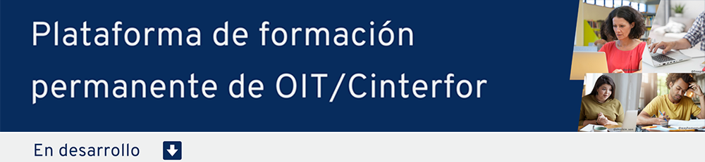 Plataforma de aprendizaje permanente