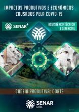 Impactos produtivos e econômicos causados pela Covid-19 - Cadeia produtiva: Corte