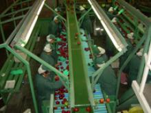 2º Encuentro de la RED SIMAPRO Chile